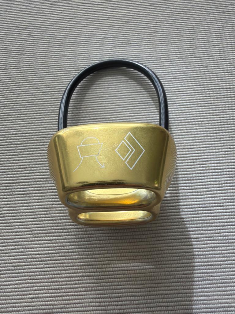 Black Diamond ATC Guide - Goud, Sport en Fitness, Klimsport, Ophalen of Verzenden, Zo goed als nieuw, Klimsport-accessoire