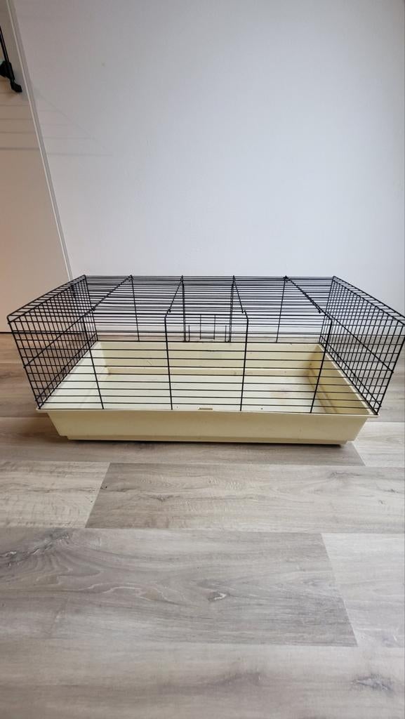 Cavia of knaagdier hok / kooi, Dieren en Toebehoren, Knaagdieren en Konijnen | Hokken en Kooien, Zo goed als nieuw, Hok, Cavia