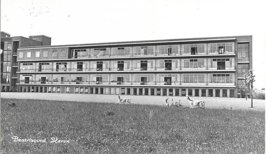 Haren- -Beatrixoord., Verzenden, 1960 tot 1980, Gelopen, Groningen