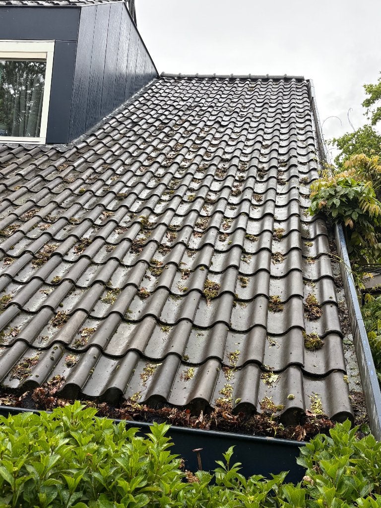 Dakpannen, flinke partij - Monier OVH 206, Ophalen, Steen of Klei, Zwart, 15 m² of meer