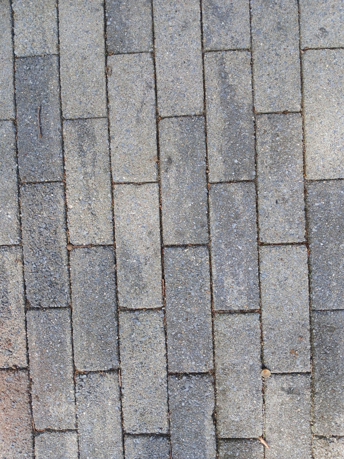 GRATIS Betonklinkers 7x5x20 cm - Grijs, Tuin en Terras, Ophalen, Gebruikt, Beton, Klinkers