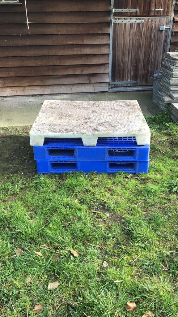 1 Kunststof Pallet- 120x100 cm, Doe-het-zelf en Verbouw, Kratten en Dozen, 100 cm of meer, 60 cm of meer, Overige typen, Minder dan 35 cm