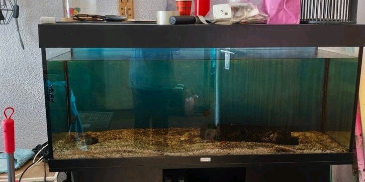 Juwel Aquarium 240 lt, Dieren en Toebehoren, Ophalen, Juwel