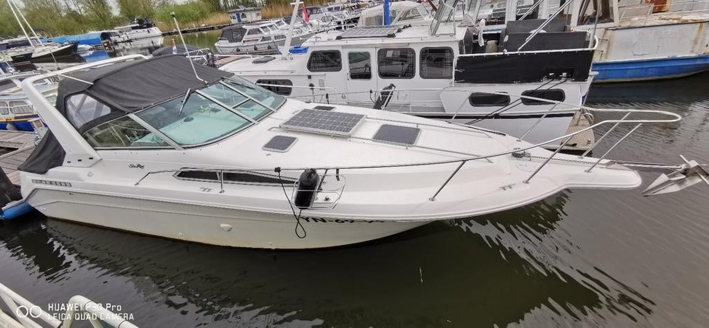 Sea Ray Sundancer 2900 - Gereviseerde motoren & refit, Watersport en Boten, Benzine, 9 m, Gebruikt, Binnenboordmotor