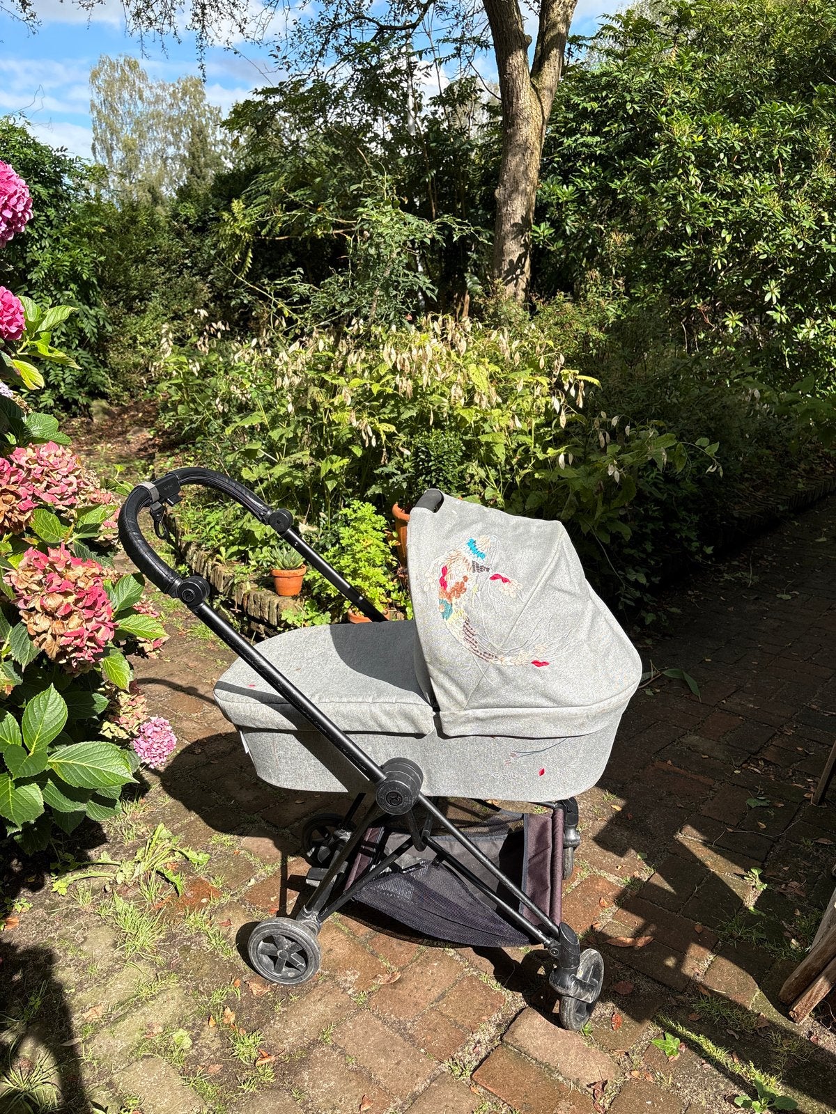 Cybex Mios Kinderwagen - Compleet met Reiswieg en Regenhoes, Gebruikt, Combiwagen, Met reiswieg, Ophalen