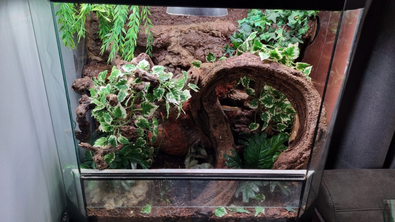 terrarium incl broedstoof en veel extra's, Ophalen, Gebruikt, Terrarium of Paludarium