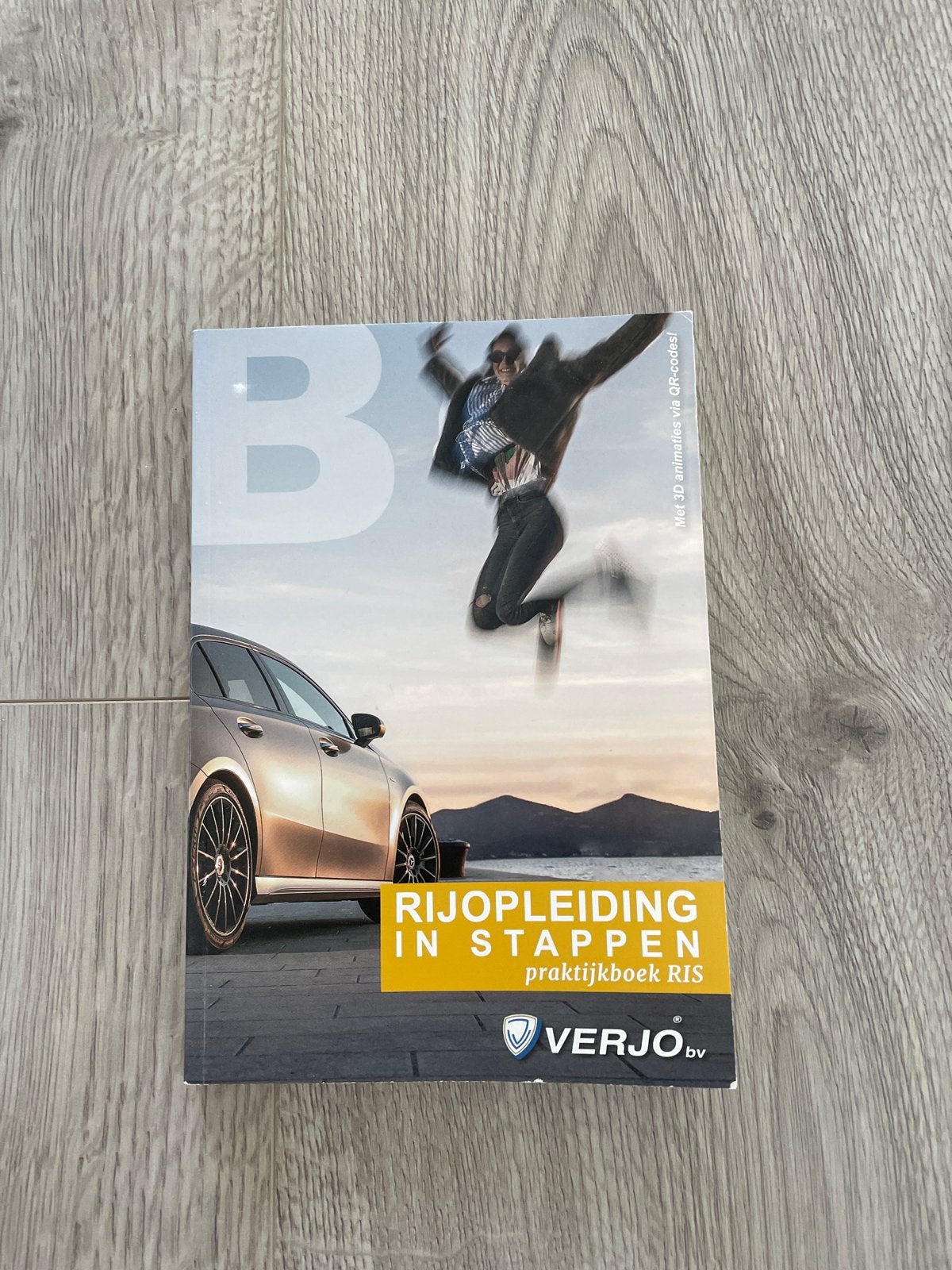 Rijopleiding in Stappen Praktijkboek RIS Verjo, Boeken, Ophalen, Zo goed als nieuw, Niet van toepassing