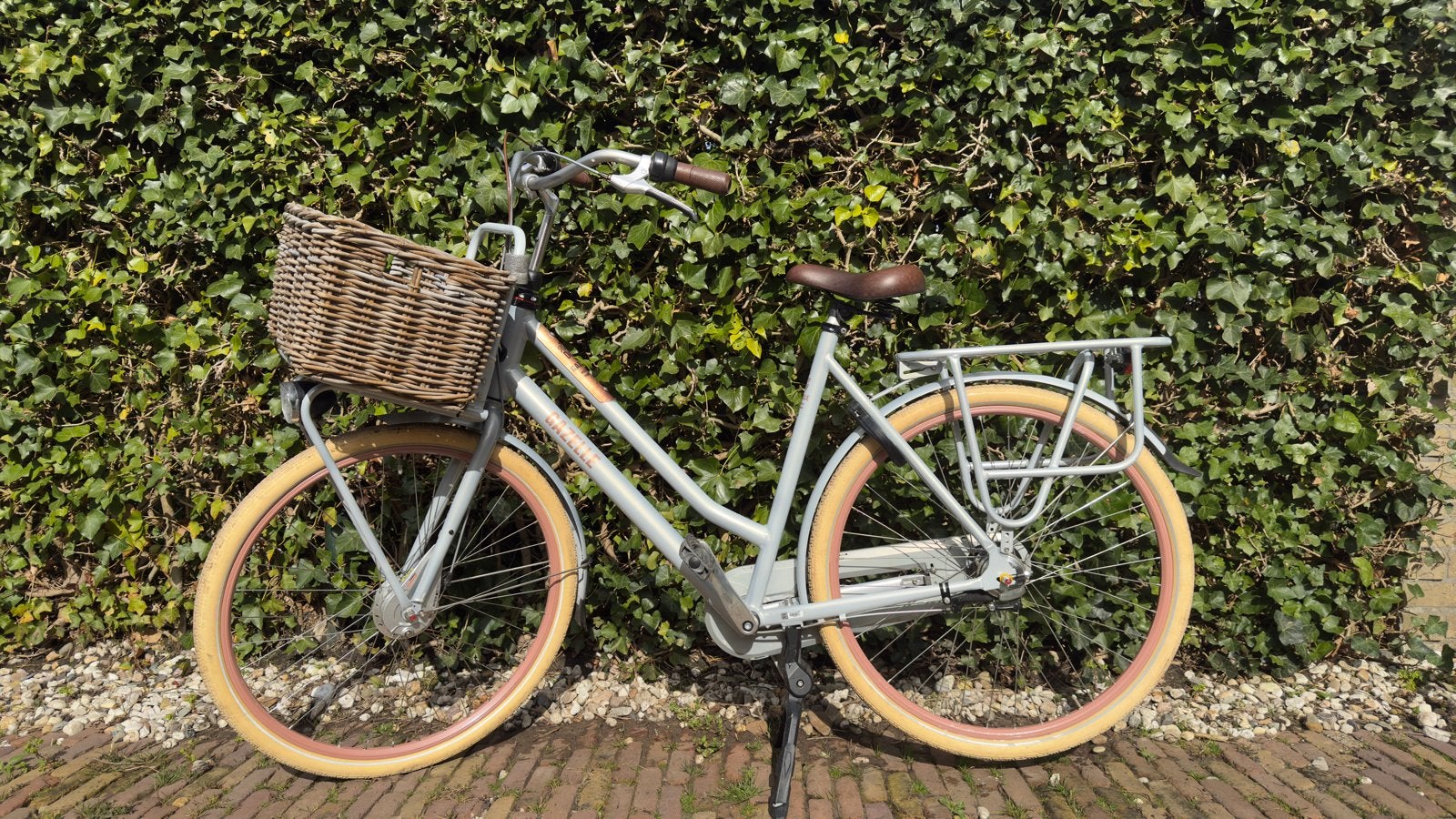 Gazelle HeavyDuty Damesfiets met mand en bagagedrager, Ophalen, Terugtraprem, 50 tot 53 cm, Gazelle