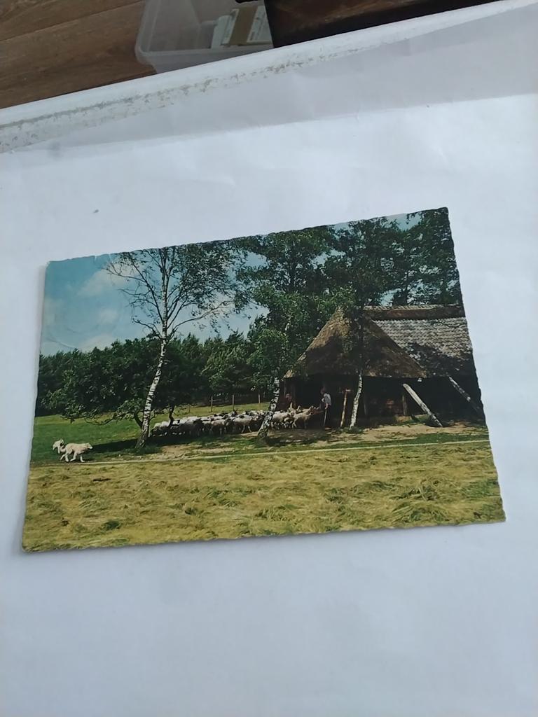 GROETEN UIT PUTTEN, Verzamelen, Ophalen of Verzenden, Gelderland