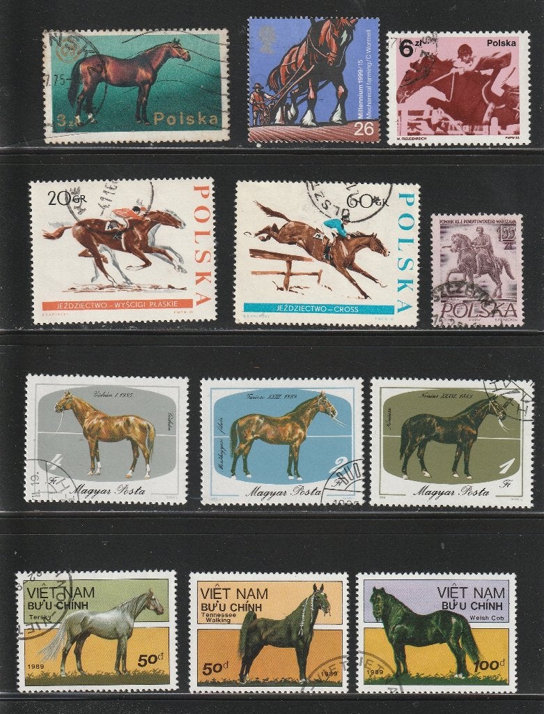 Paarden Kavel nr. 1, Verzenden, Dier of Natuur