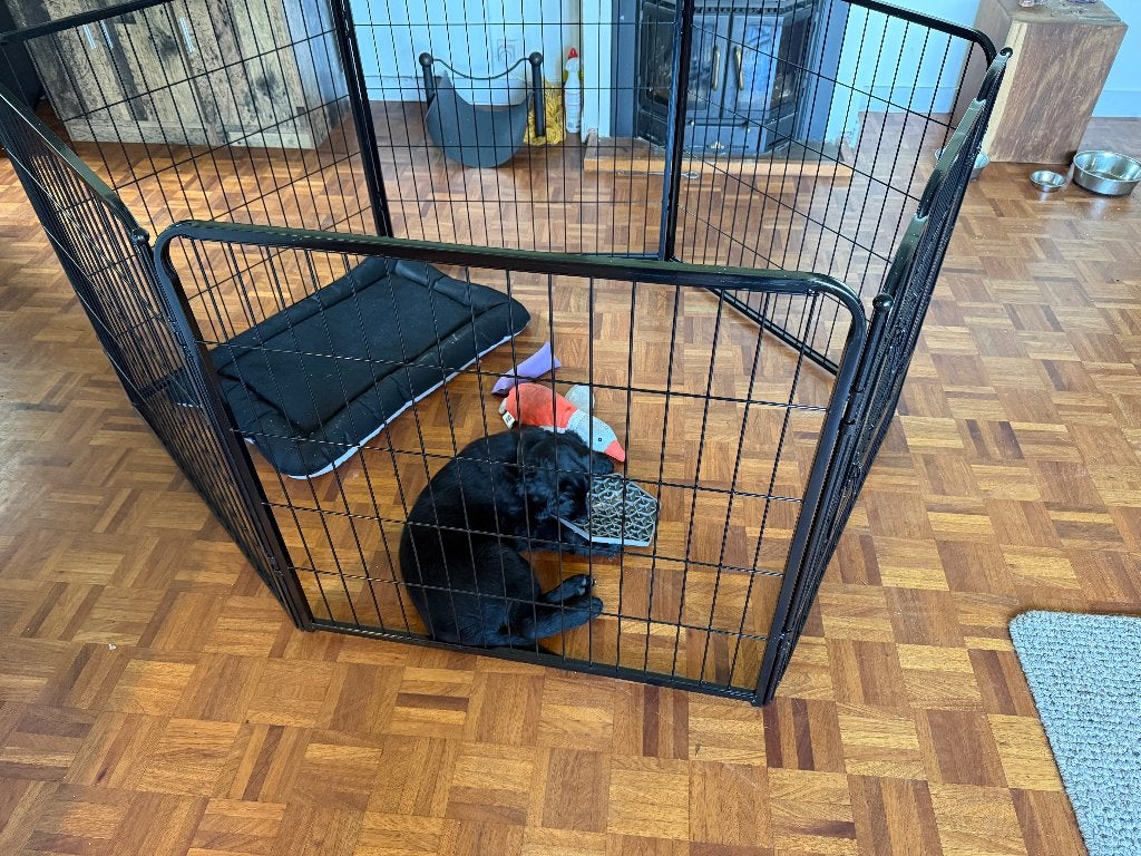 XL puppyren / hondenren – 8 panelen – 210  80 cm, Ophalen, Zo goed als nieuw