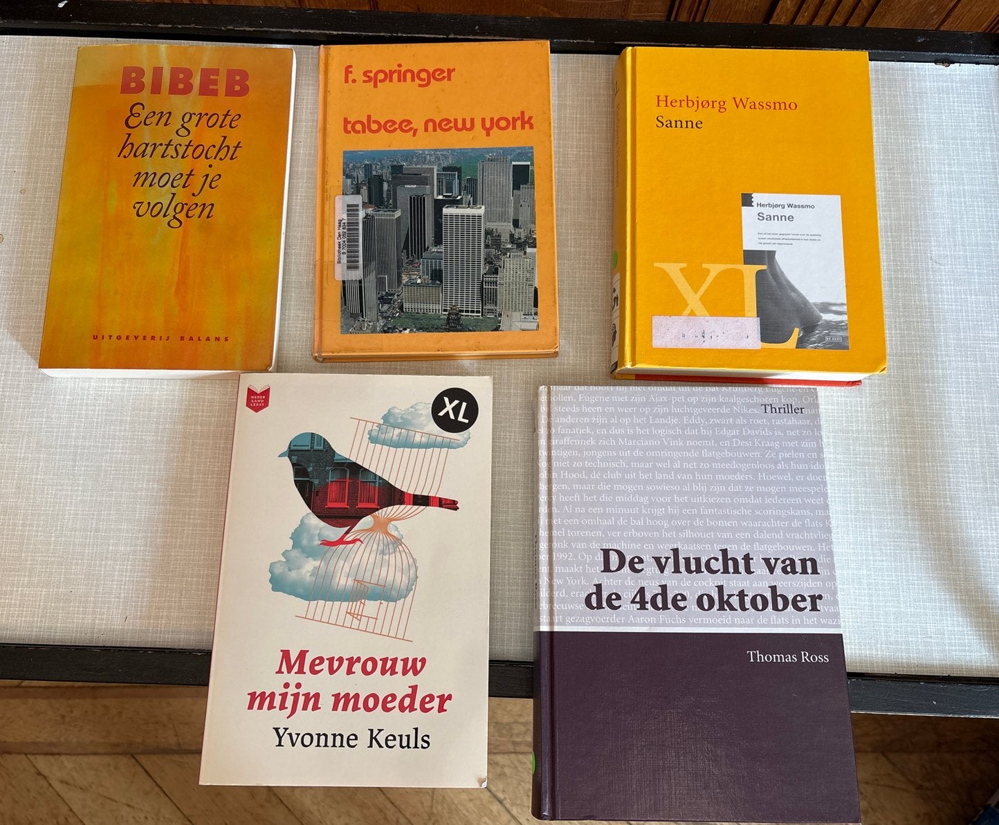 Grote letterboeken: 2 euro per stuk, 5 voor 7 euro, Boeken, Ophalen of Verzenden, Gelezen, Nederland