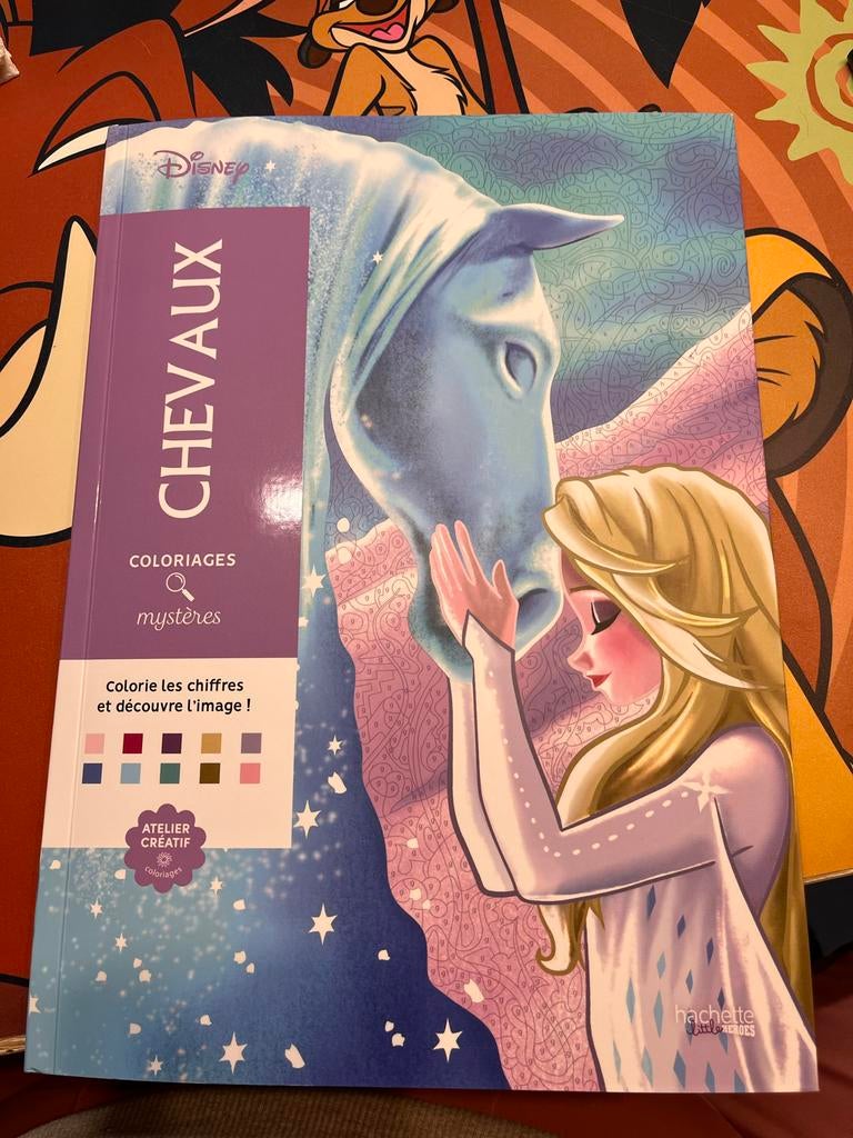 Disney Kleurboek Mystères Chevaux - eentje deels Ingekleurd, Ophalen of Verzenden, Zo goed als nieuw, Boek of Gids