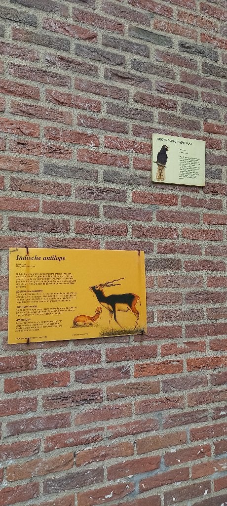 wanddecoratieborden Blijdorp voor buiten, Ophalen, Rechthoekig, Minder dan 50 cm