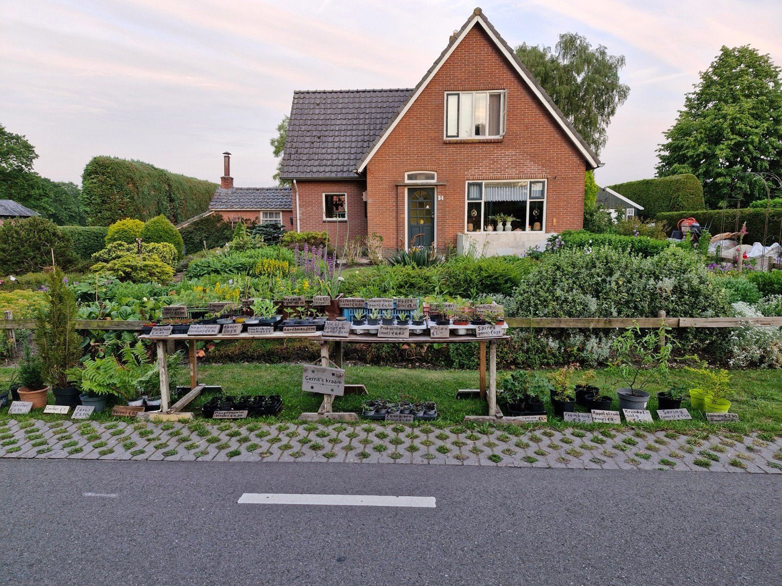Kraampje met vaste planten en struiken, Ophalen, Vaste plant, Overige soorten, Volle zon