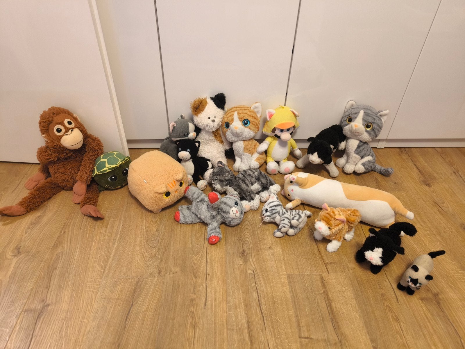 Grote collectie knuffels: katten, aap, schildpad en meer, Gebruikt, Ophalen of Verzenden, Kat, Klein (minder dan 20 cm)