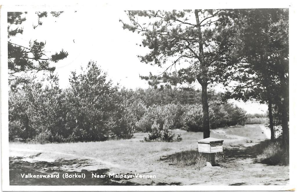 AK Valkenswaard, Borkel - Naar Malpays-Vennen, Verzenden, 1940 tot 1960, Gelopen, Noord-Brabant