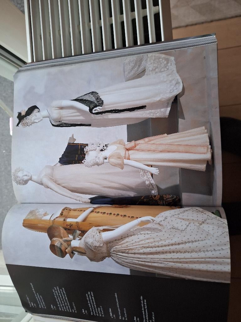 Modeboek The collection of the Kyoto Costume Institute , Ophalen of Verzenden, Zo goed als nieuw, Mode algemeen