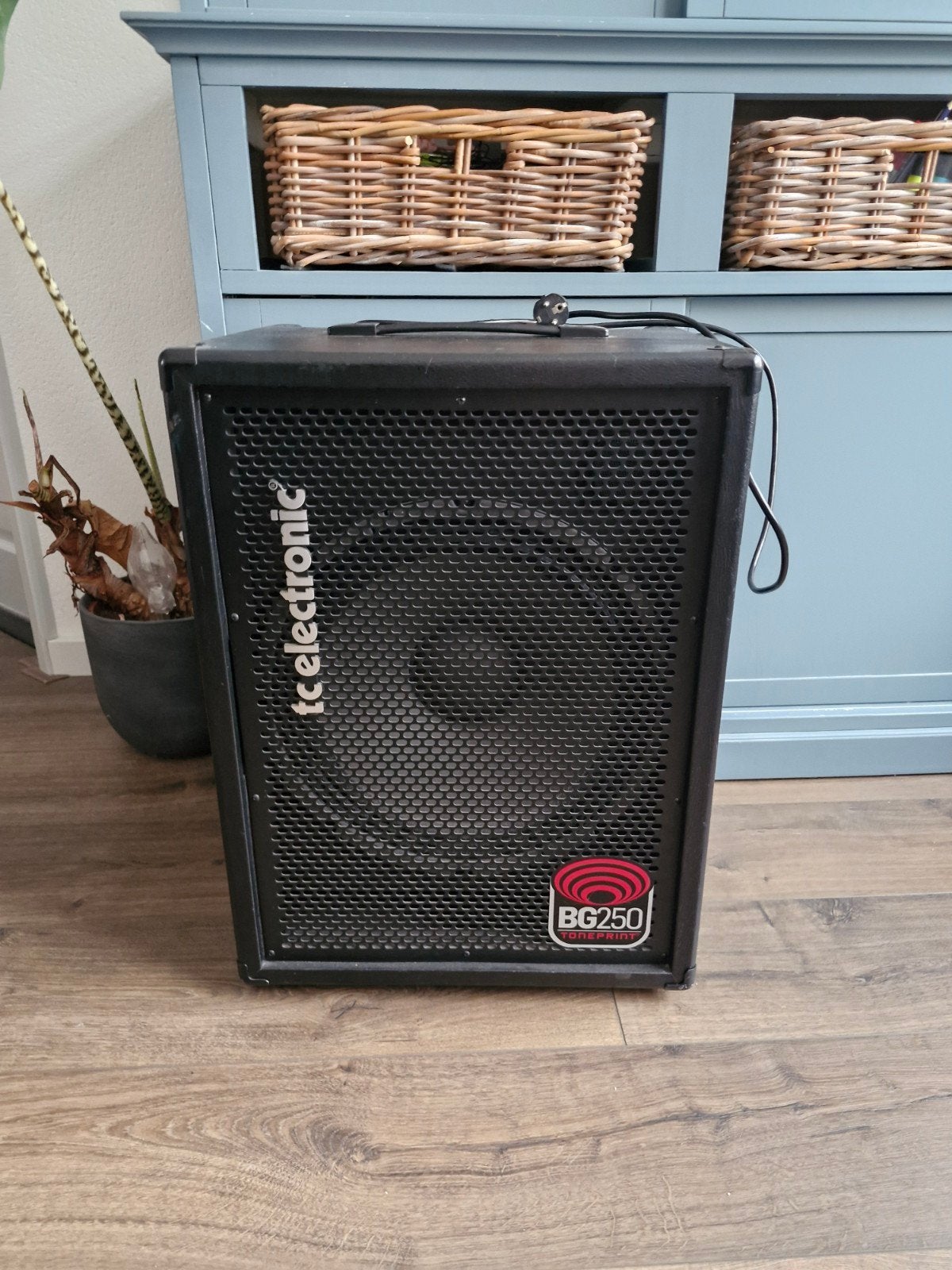 TC Electronic BG250 Basgitaarversterker, Ophalen, 100 watt of meer