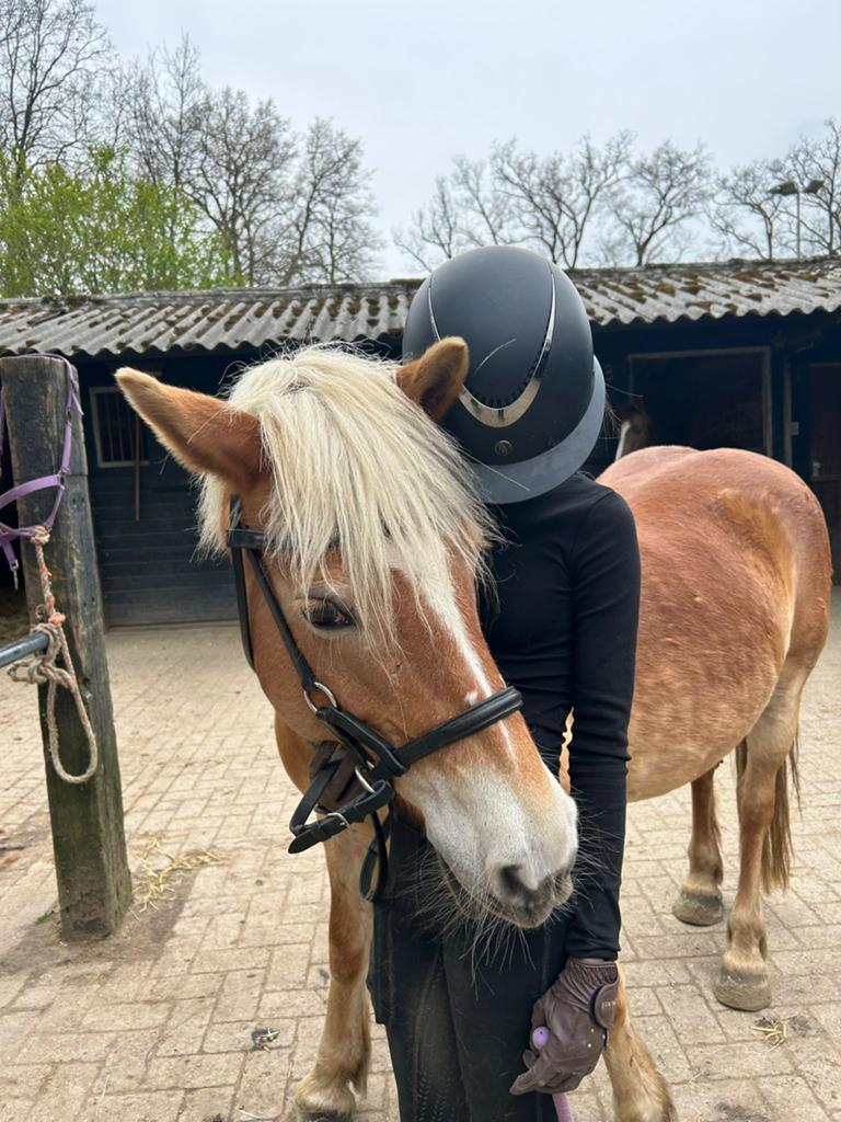 Bijrijder aangeboden/ bijrijd paard pony gezocht, Drie personen of meer, Ticket of Toegangskaart