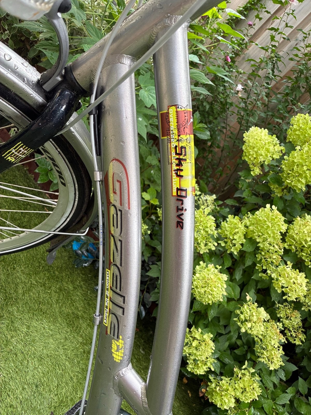 Gazelle Sky Drive Damesfiets - Nieuwe banden!, Ophalen, Gebruikt, Versnellingen, Schijfrem