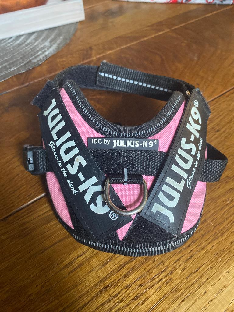 Julius k9 tuigje xs, Ophalen, Zo goed als nieuw