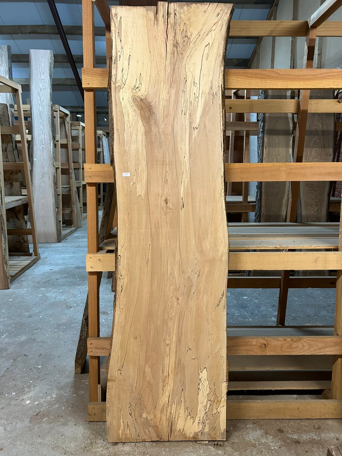 Nr 88/ Boomstamblad Spalted Beuk met slaap ca.5x57x230cm, Ophalen, Nieuw, 180 tot 250 cm, Planken
