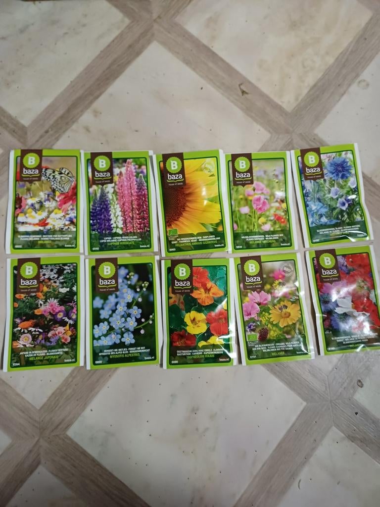 Diverse bloemzaden - Creëer een kleurrijke tuin!, Tuin en Terras, Bloembollen en Zaden, Ophalen of Verzenden, Gehele jaar, Volle zon