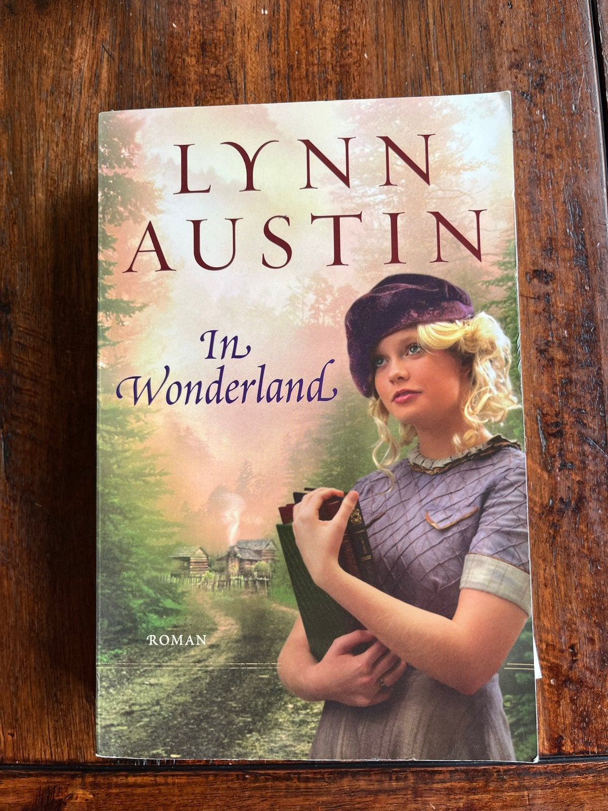In Wonderland - Lynn Austin Roman, Ophalen of Verzenden, Gelezen, Wereld overig