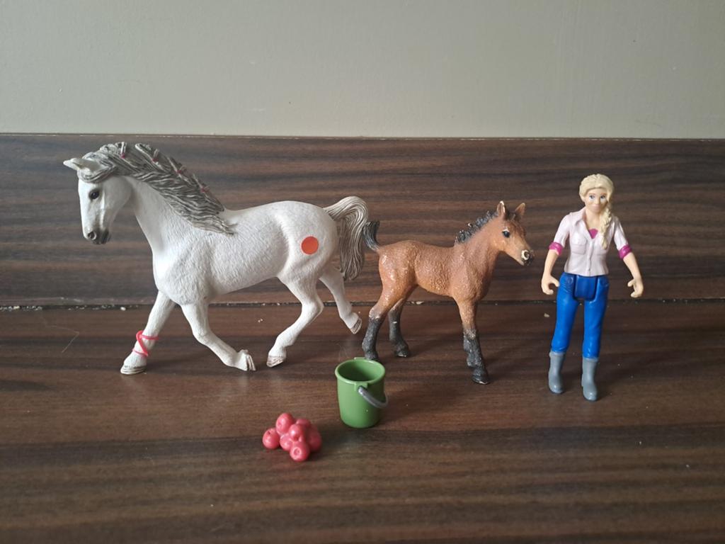 Schleich dierenarts, Verzamelen, Speelgoed, Ophalen of Verzenden, Zo goed als nieuw