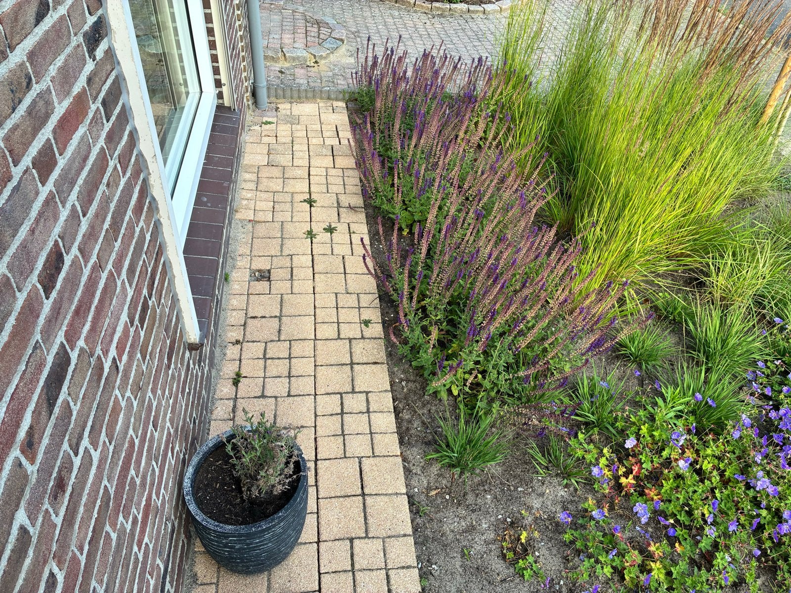 Gebruikte terrastegels, tuintegels, Cobblestones, circa 9 m², Tuin en Terras, Tegels en Klinkers, Ophalen, Gebruikt, 10 m² of meer