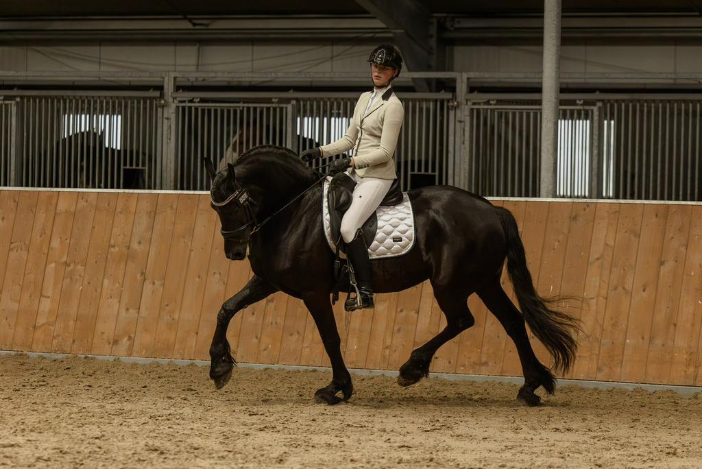 Super leerpaard Z1 ster sport AA merrie Norbert X Beart, Merrie, Dressuurpaard, 160 tot 165 cm, 11 jaar of ouder