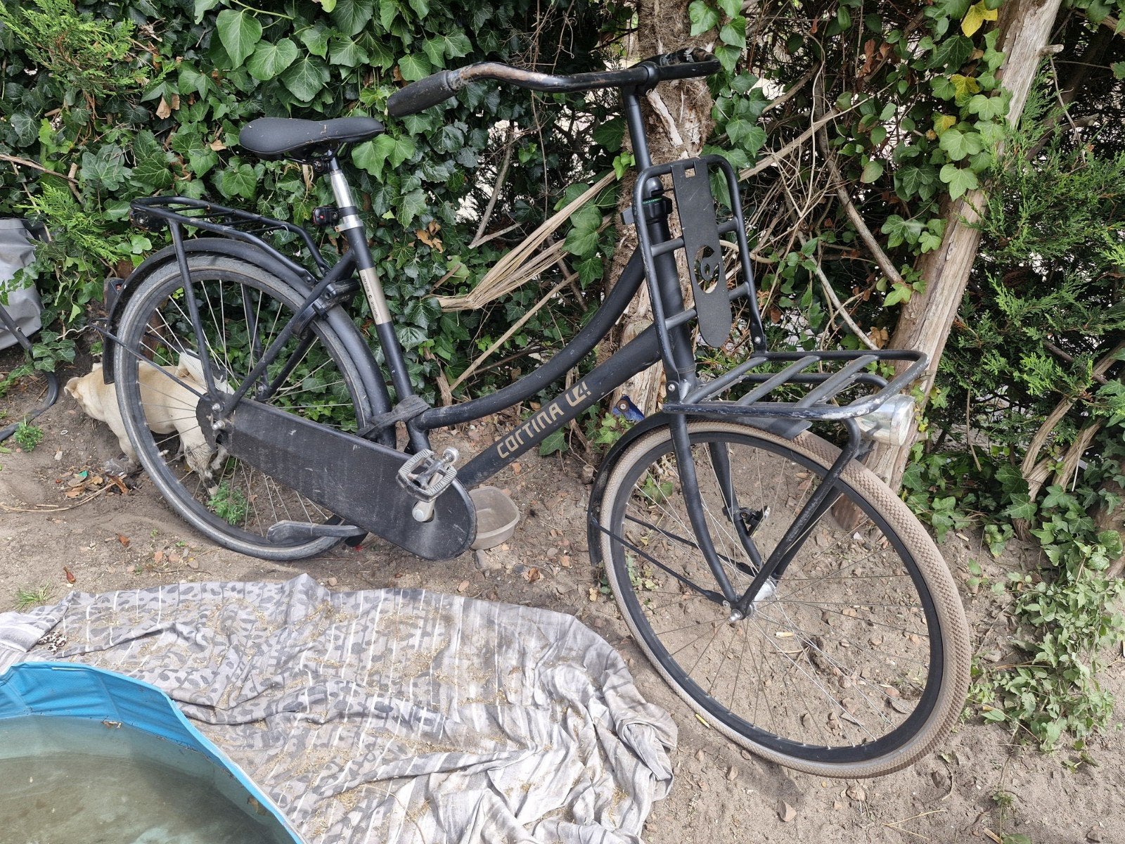 Cortina L4 Transport fiets, 56 cm of meer, Ophalen, Gebruikt