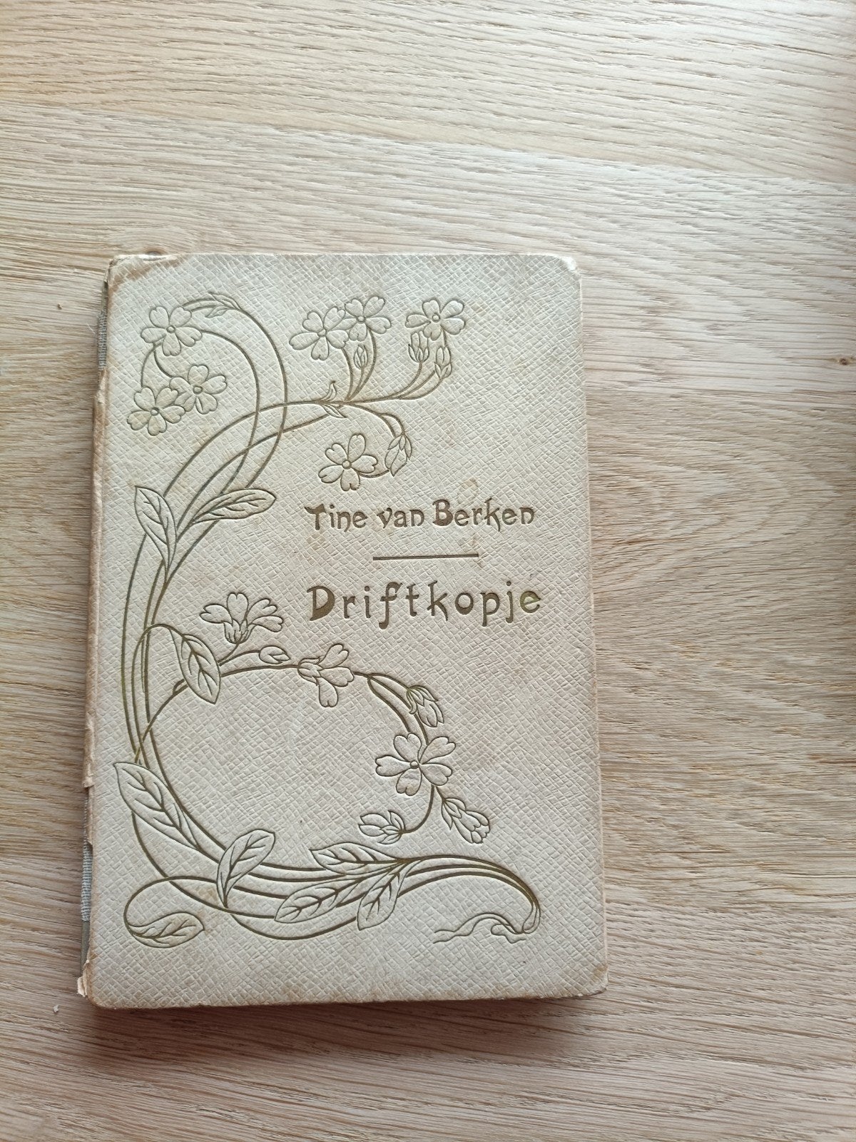 Driftkopje - Tine van Berken (Derde Druk), Ophalen of Verzenden, Tine van Berken