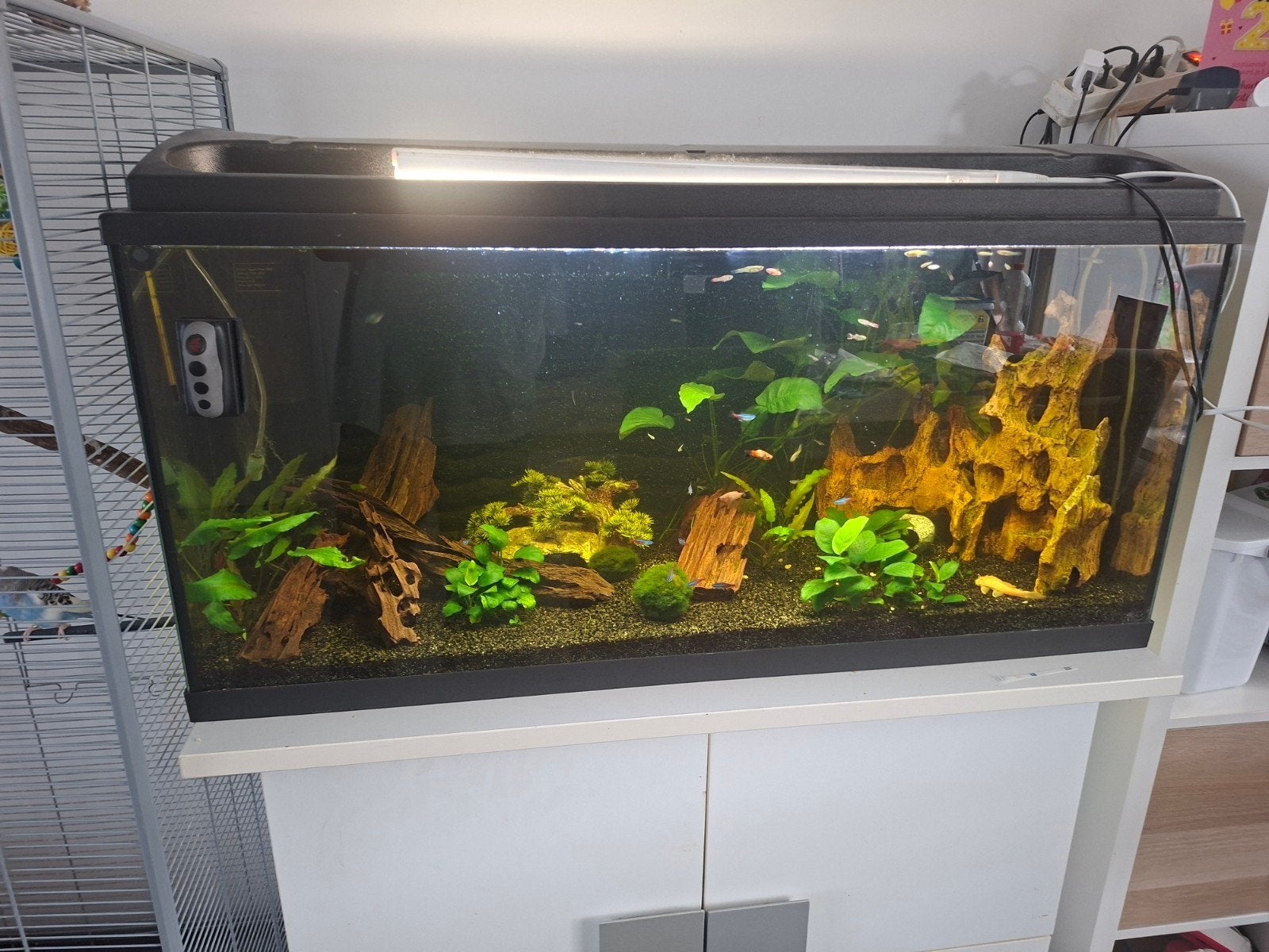 aquarium te koop, Dieren en Toebehoren, Vissen | Aquaria en Toebehoren, Ophalen, Leeg aquarium