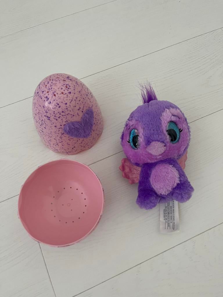 Hatchimals knuffel in ei, Paars, Met doos, Overige merken, Overige karakters