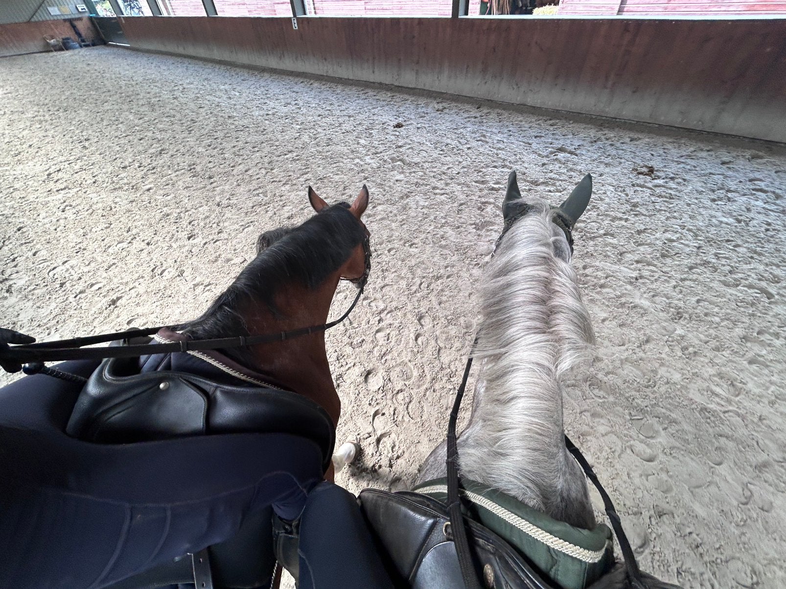 ‼️ 2 stallen gezocht ‼️, Stalling, 2 of 3 paarden of pony's