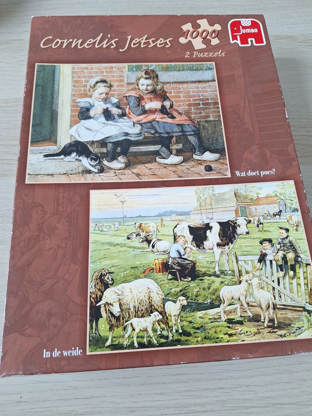 Jumbo puzzels 2 in 1, Ophalen of Verzenden, 500 t/m 1500 stukjes, Gebruikt