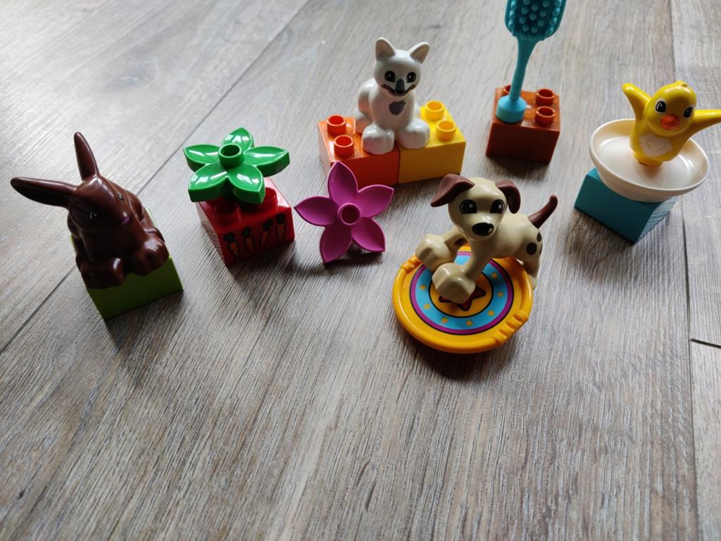Leuke Duplo dieren en accessoires set, Ophalen, Zo goed als nieuw, Compleet, Duplo
