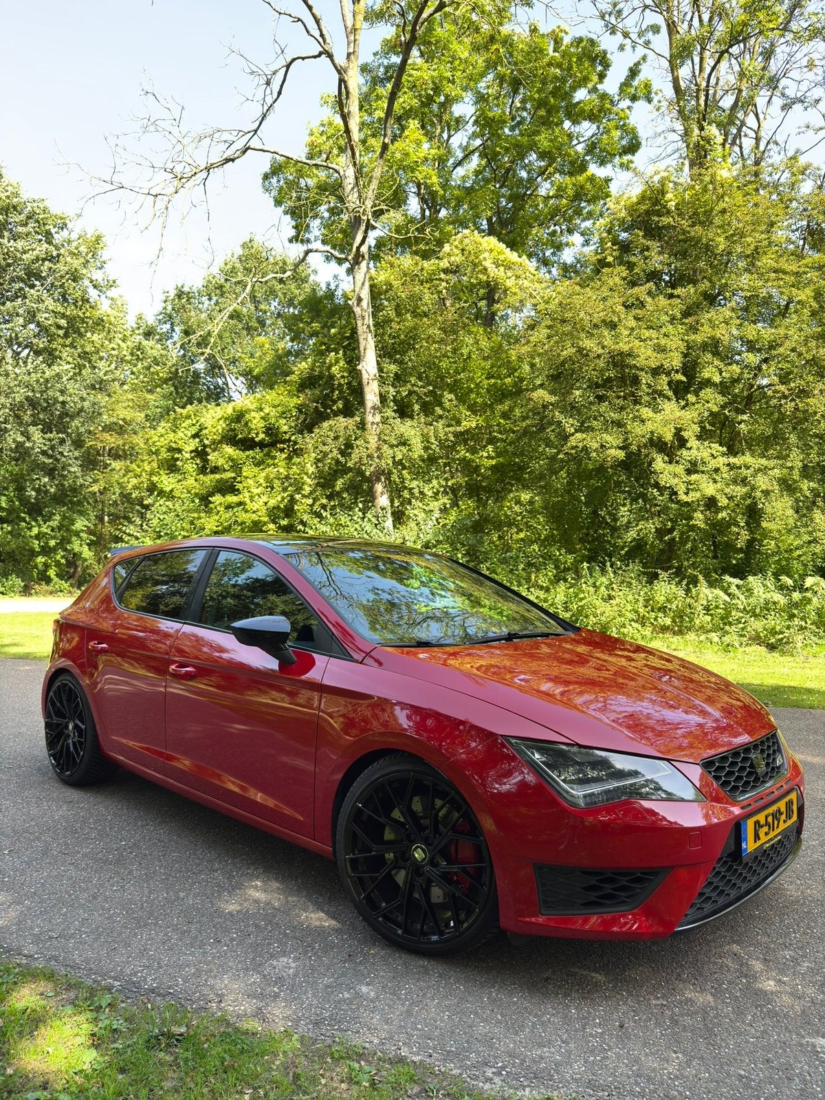 SEAT LEON CUPRA 280 | 2015 | 109.477 KM | DSG | DESIRE RED, Auto's, 15 km/l, 1321 kg, 4 cilinders, 1984 cc