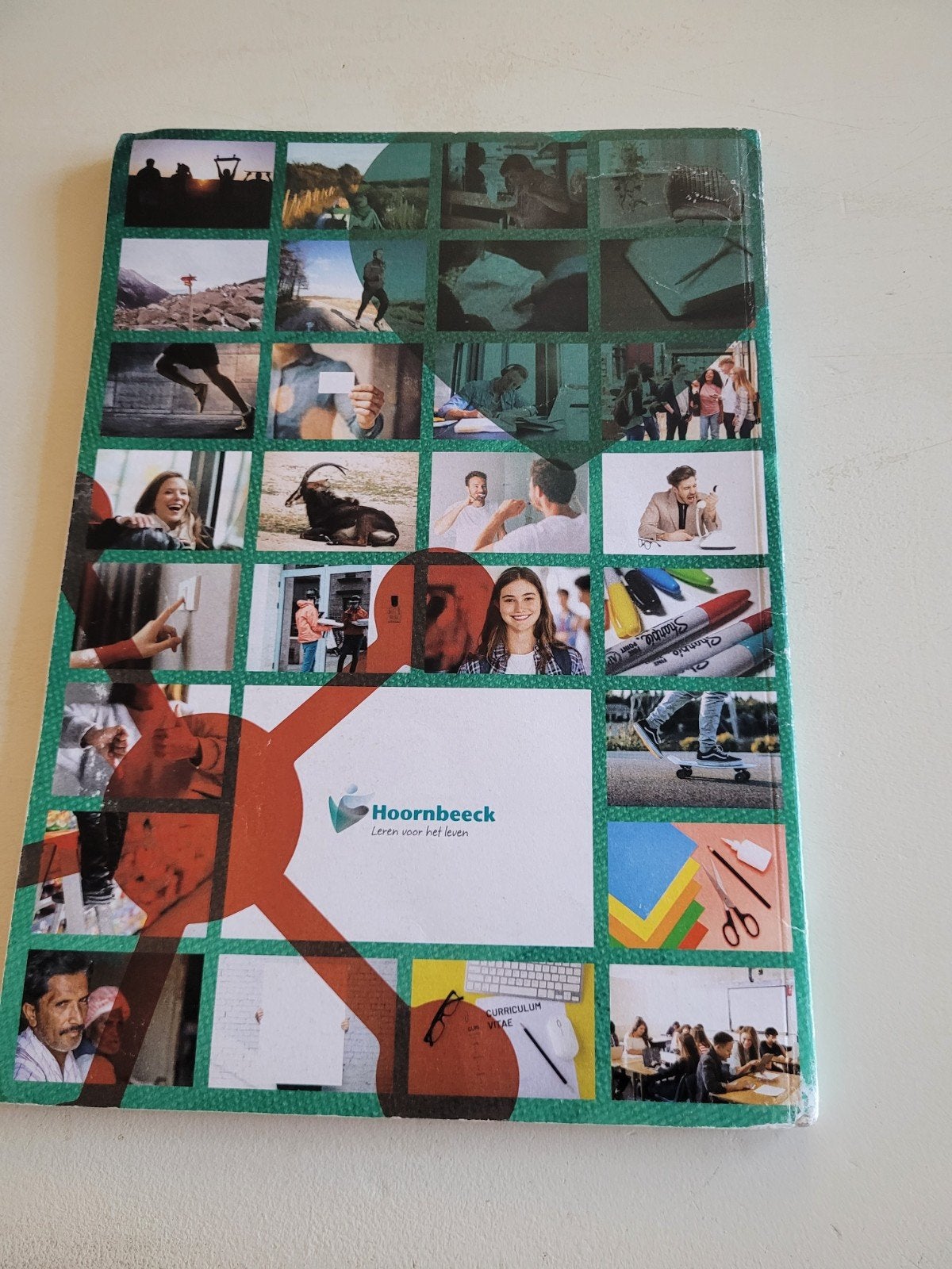 Perspectief loopbaanoriëntatie & begeleiding, Ophalen, Gelezen, Overige niveaus