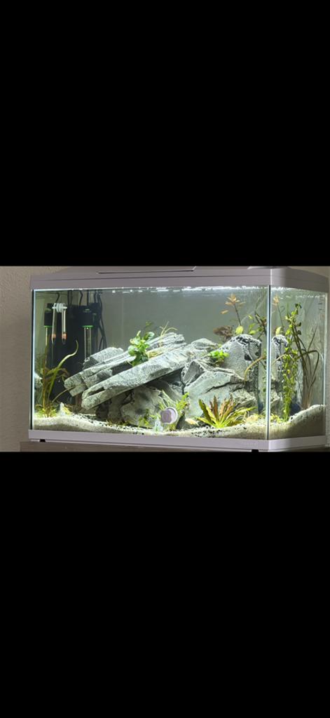 Aquarium rots, Ophalen of Verzenden, Zo goed als nieuw, Leeg aquarium