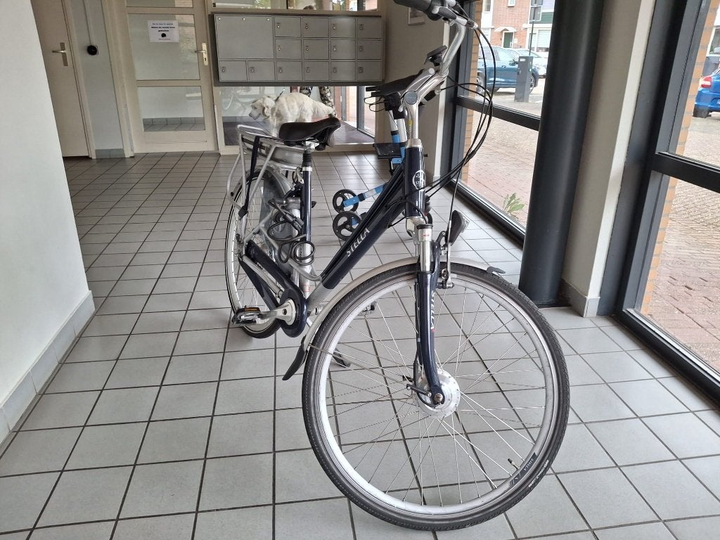 Stella Vicenza electrische fiets met krachtsensor, Ophalen, Zo goed als nieuw, Overige merken
