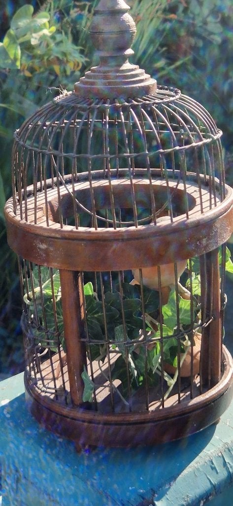 Victoriaanse stijl vogelkooi van hout en metaal (brocante), Ophalen of Verzenden, Gebruikt, Hout, Vogelkooi