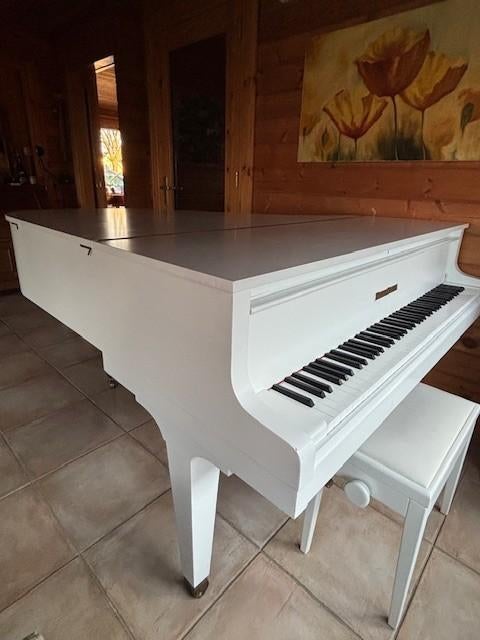 Te koop Grotrian Steinweg mini vleugel wit, Muziek en Instrumenten, Piano's, Ophalen, Gebruikt, Wit, Hoogglans