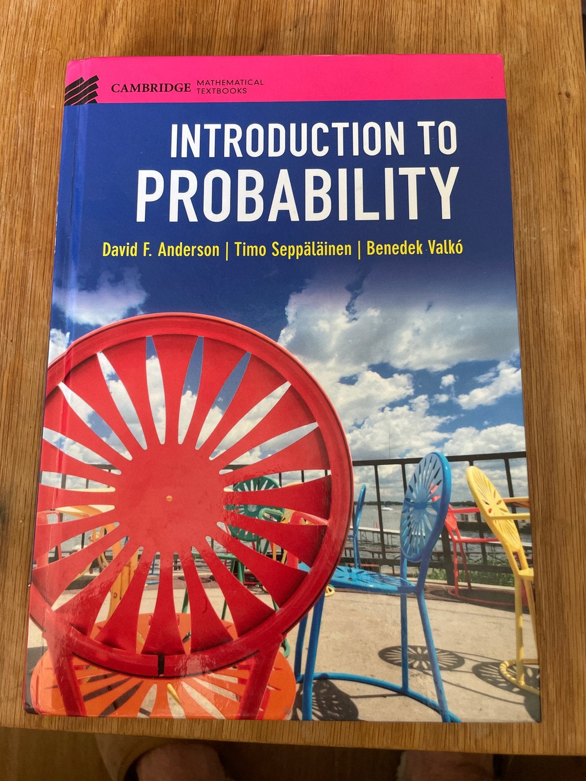 Introduction to Probability - Cambridge Mathematical Textboo, Boeken, Ophalen of Verzenden, Beta, Zo goed als nieuw, WO