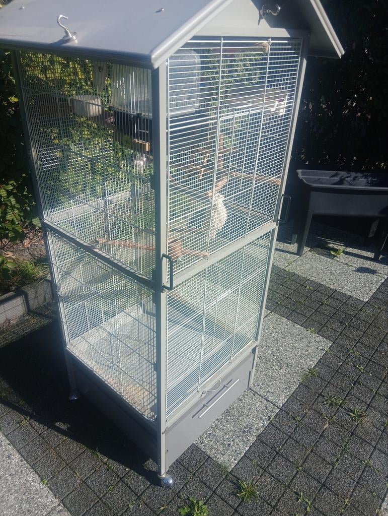 Papegaai kooi te koop, Ophalen, Gebruikt, Metaal, Vogelkooi