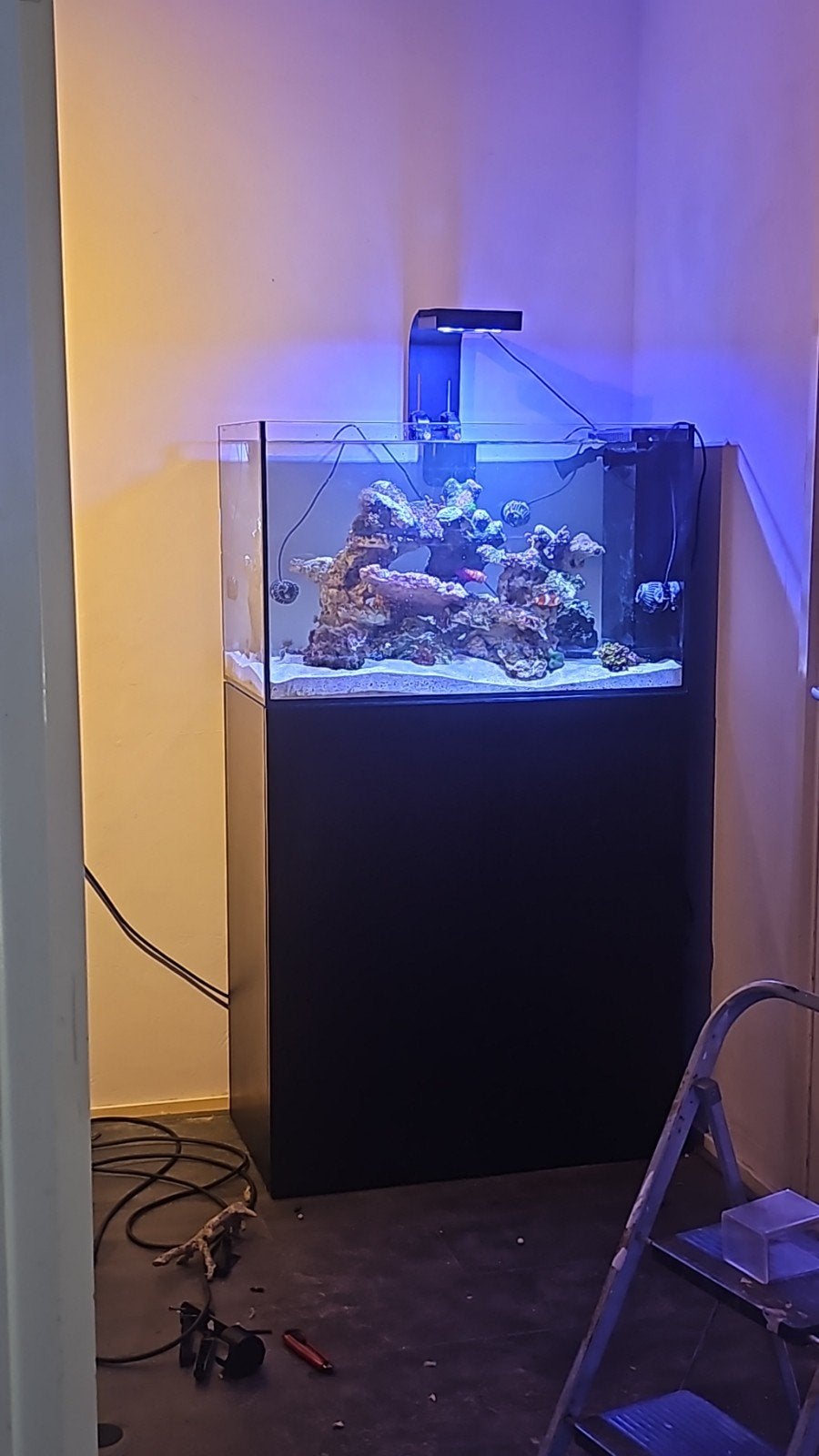waterbox peninsula 3620, Ophalen, Gevuld zeewateraquarium, Overige merken, Zo goed als nieuw