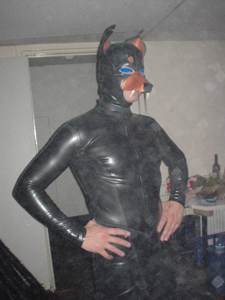 Rubber latex doberman hond masker, House of Harlot, Kleding | Heren, Maat 48/50 (M), Ophalen of Verzenden, Zo goed als nieuw, Kleding