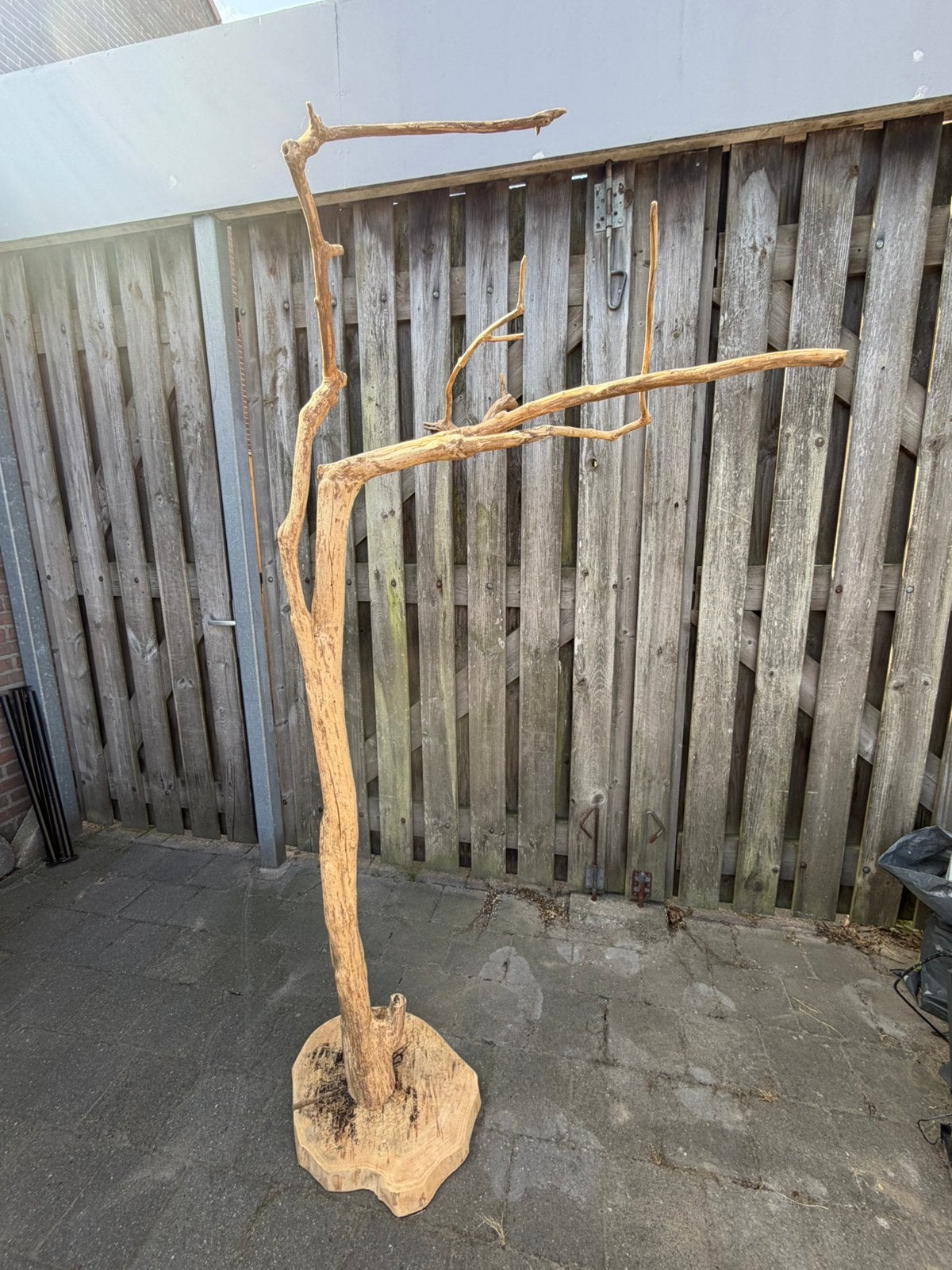 Speelboom voor papegaai achtige (Javaboom), Ophalen, Zo goed als nieuw
